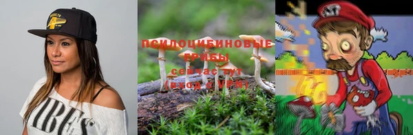 марки lsd Алексеевка