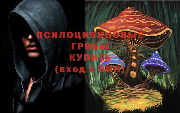a pvp Алзамай