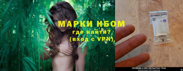 a pvp Алзамай